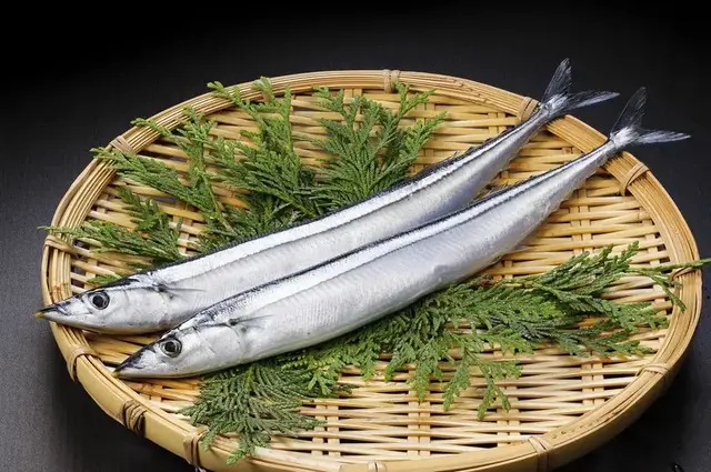 猫可(kě)以吃板栗吗(宠物(wù)猫可(kě)以吃板栗吗)
